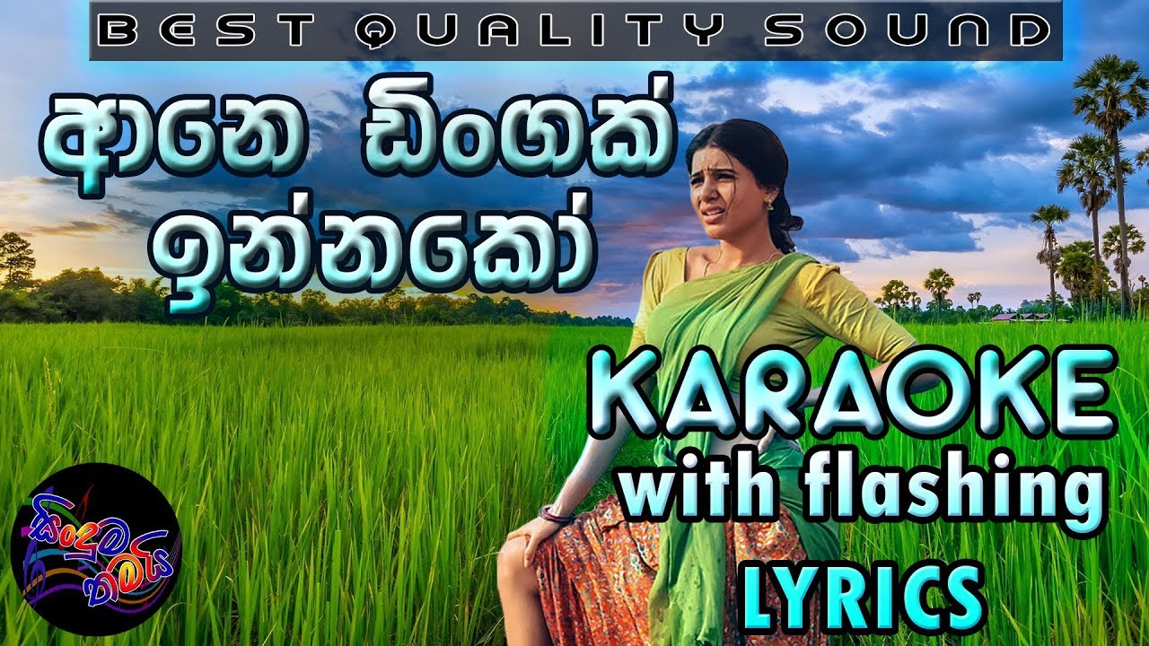 Ane Dingak Innako Karaoke with Lyrics (Without Voice)
