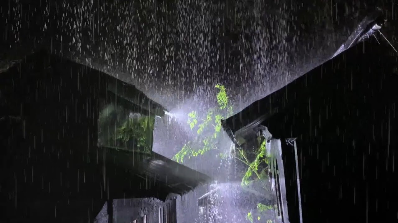 Heavy Rain and Thunderstorms Under a Tin Roof 🌨 ASMR Relaxation for Deep Sleep & Anxiety⚡️