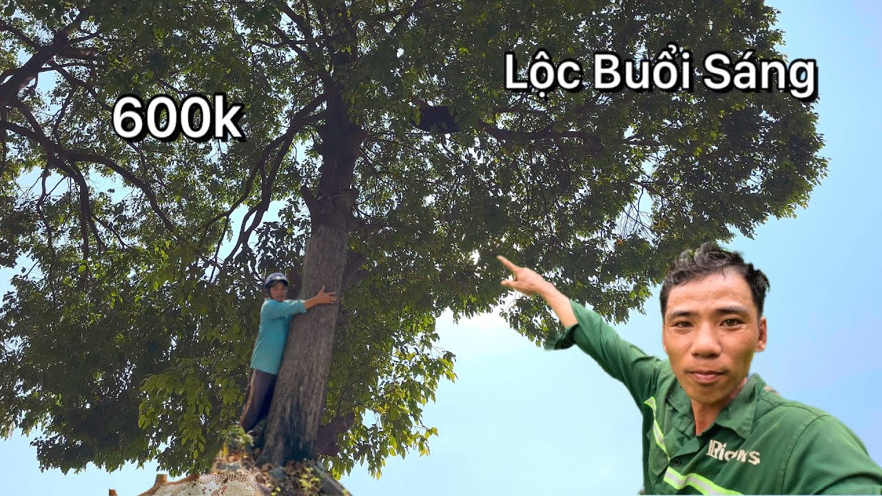 Sáng Sớm Lụm Được 600k nghề mưu sinh May Mắn Tới Chiều Tiền Vô Bạc Triệu