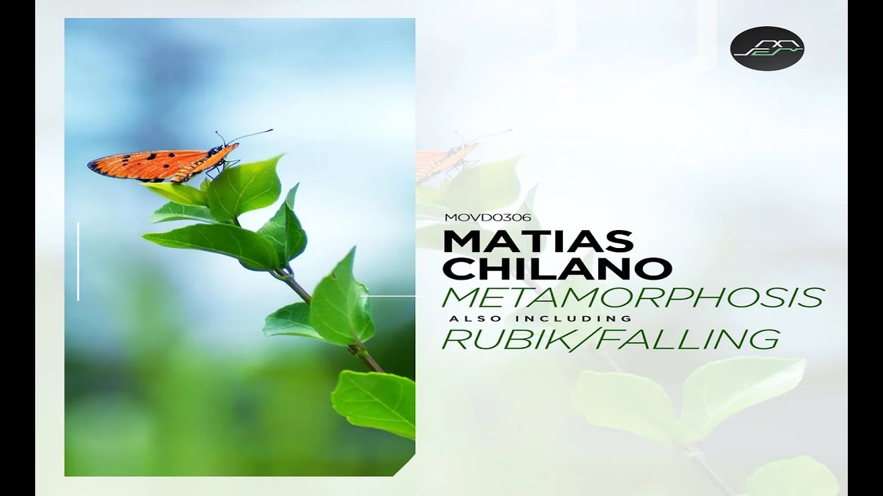 Matias Chilano - Falling (Original Mix)