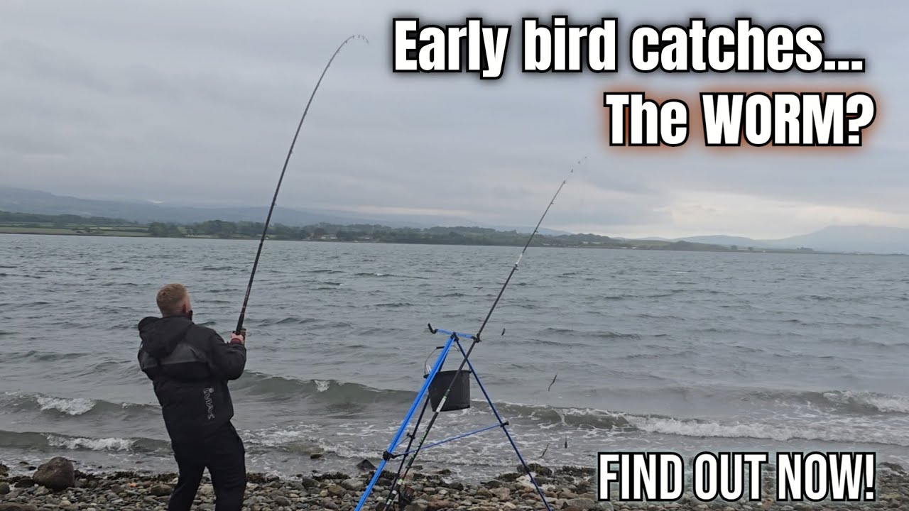 Does the EARLY BIRD catch the WORM? - Menai Strait - UK sea fishing