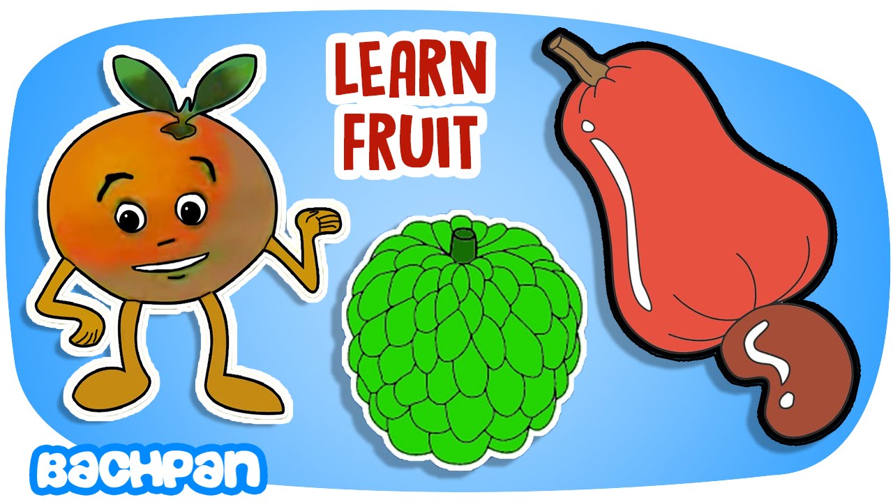 Learn Fruit Songs | Fruit Rhymes Collection For Kids | Nursery Rhymes For Children | Bachpan Tube