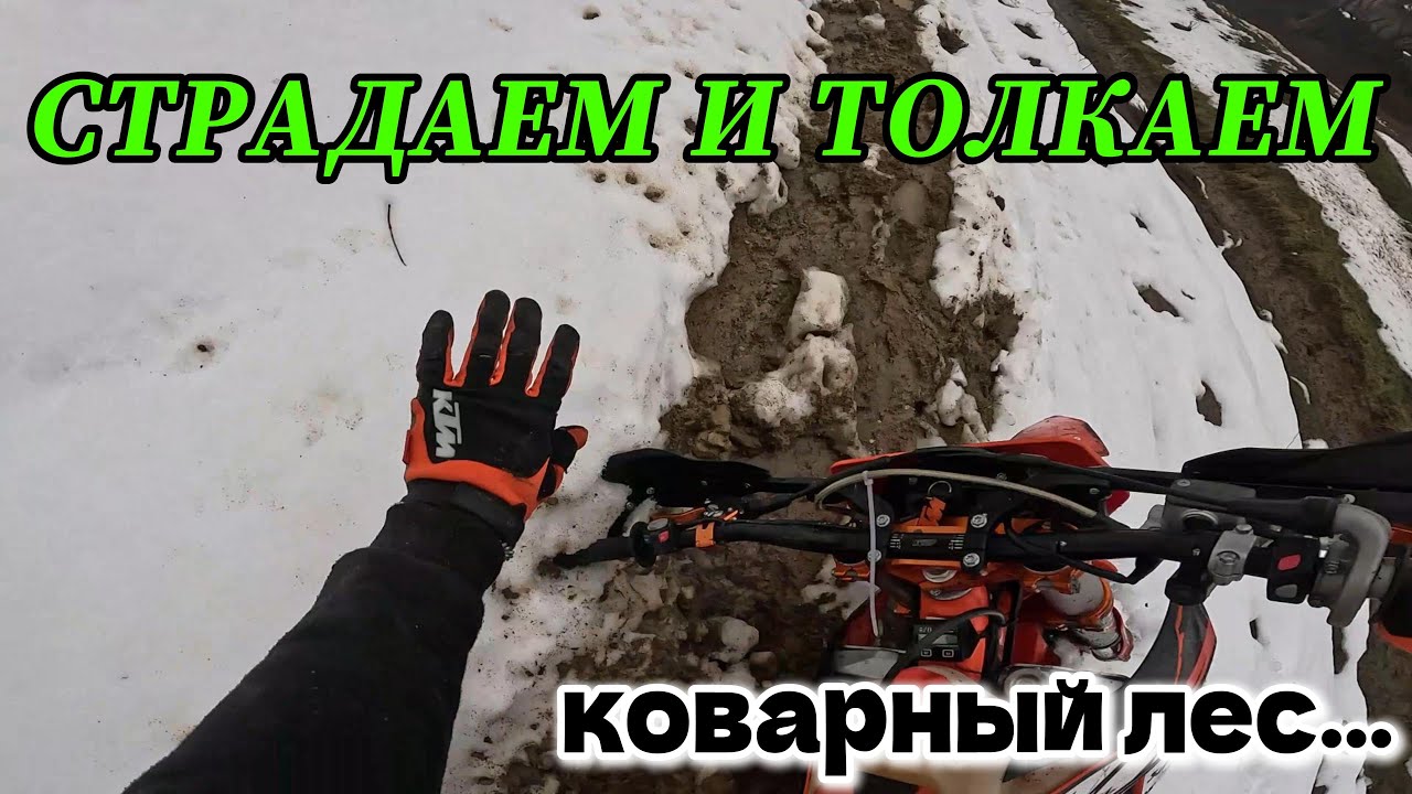 ШТУРМУЕМ ЛЕС ПО СНЕГУ