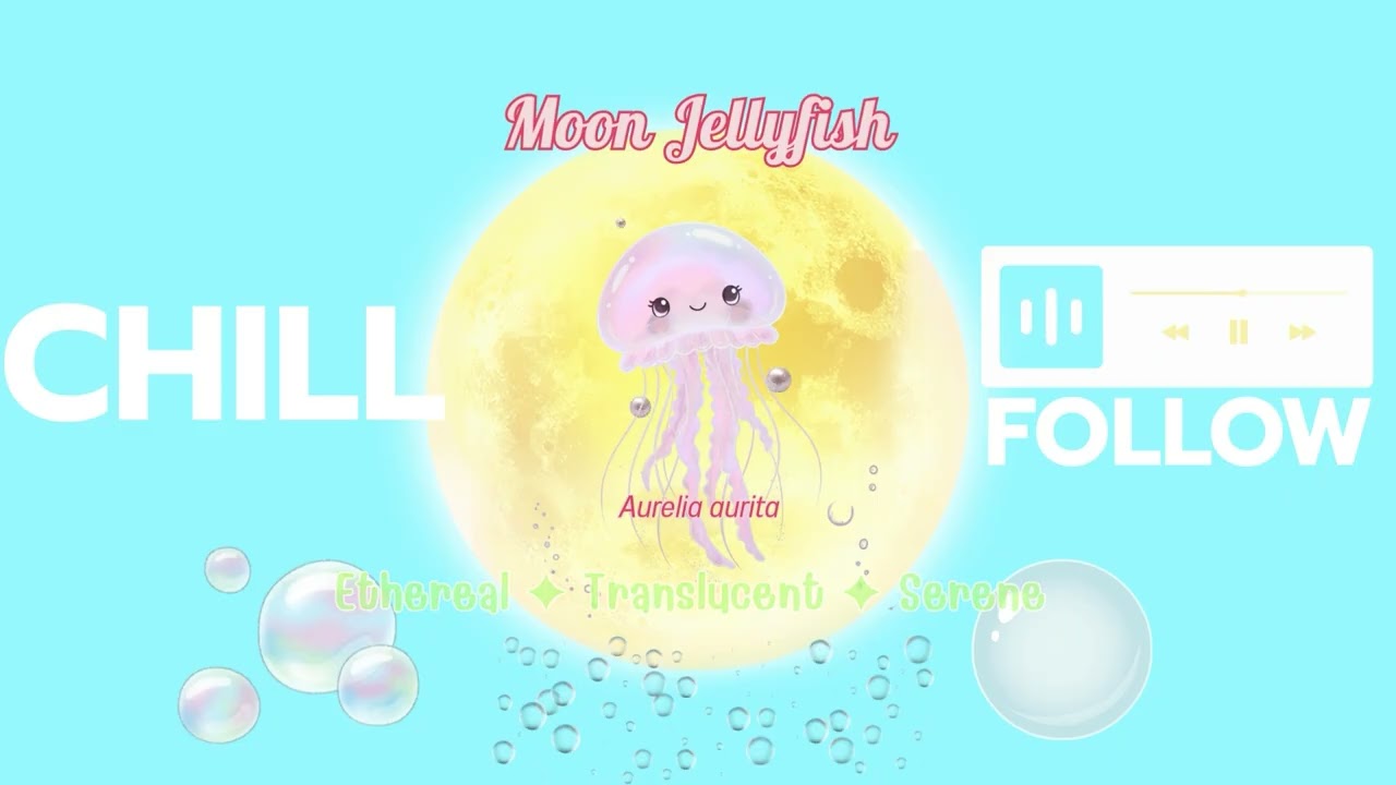Chill Follow [Summer] | Moon Jellyfish ✦ แมงกระพรุนพระจันทร์ | 1 Hour on the beach 