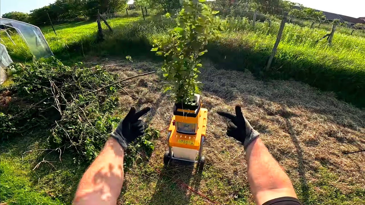 Tiny Shredder vs. Massive Branches – The Ultimate POV Showdown!