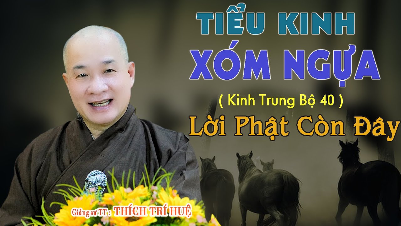 Kinh TB40 Tiểu Kinh Xóm Ngựa - Lời Phật Dạy Như Còn Đâu Đây - Rất hay. Thầy Thích Trí Huệ