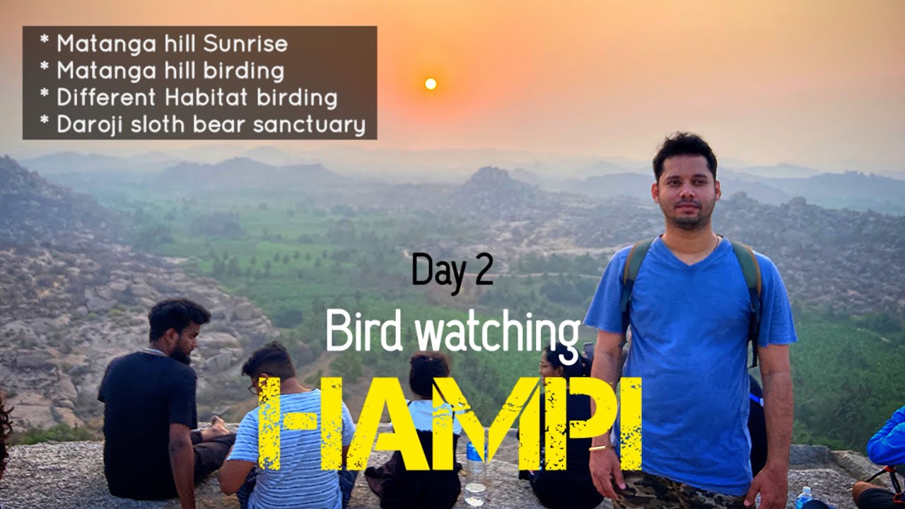 Hampi - Bird watching - Day 2 || Yellow-throated Bulbul || Pompayya Malemath #hampi #karnataka