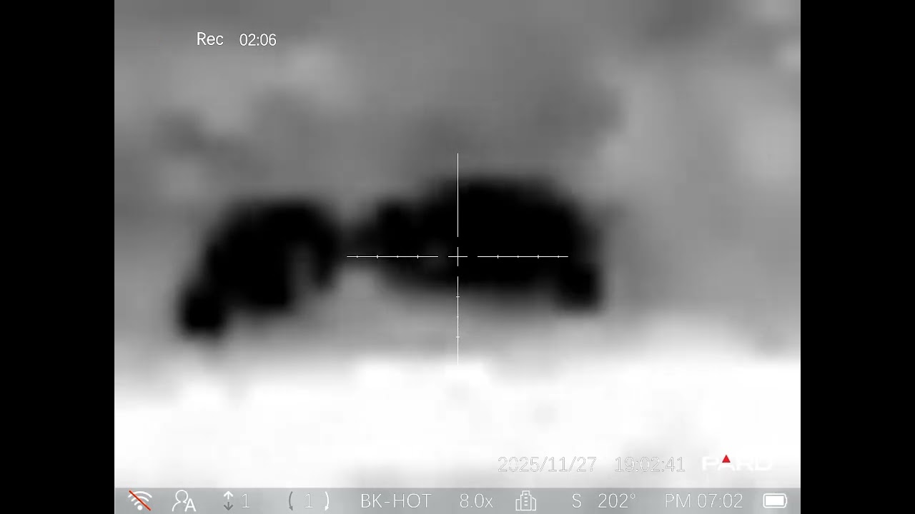 Pard Pantera 256 Q PA2Q-25 Černá na 130 m. - 5C