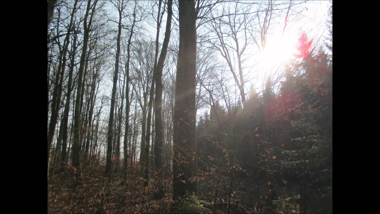 Bernstadt Fohlenhaus März 2015