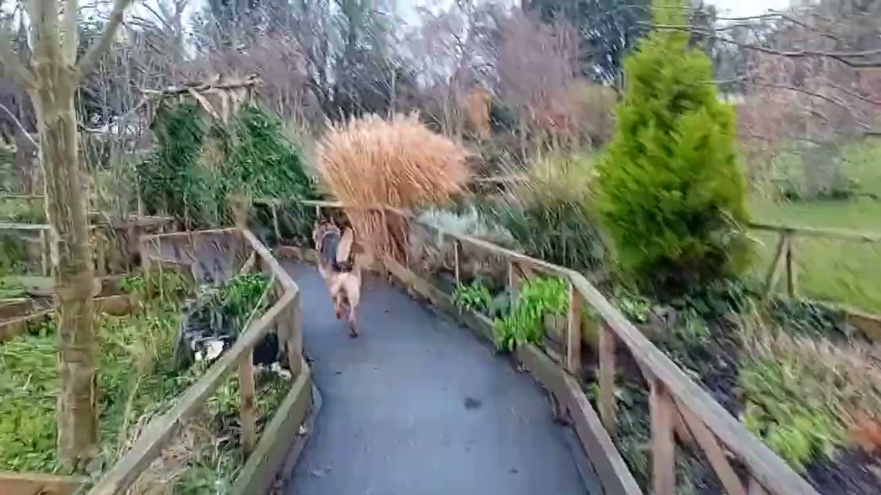 Some times he's hard work 