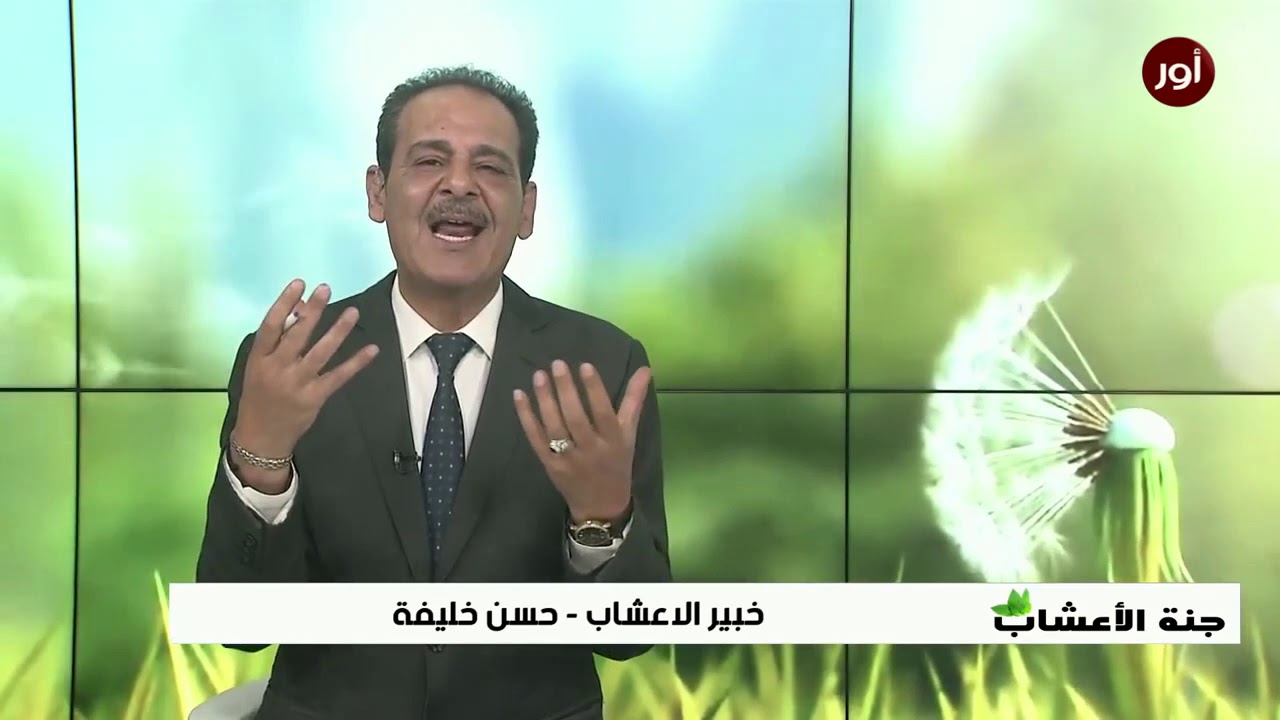 فوائد الحناء فوائد  صحية للشعر والجسم والجلد والصدفيه والمفاصل  خبير الاعشاب حسن خليفة - جنة الاعشاب