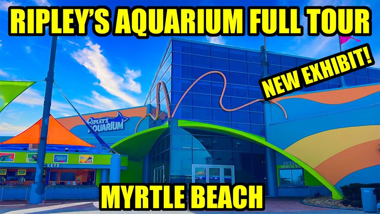 Is Ripley's Aquarium Myrtle Beach Worth It? Full Tour!