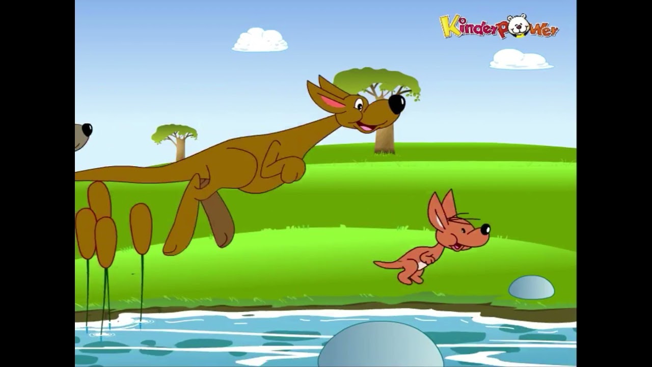 Kangaroo