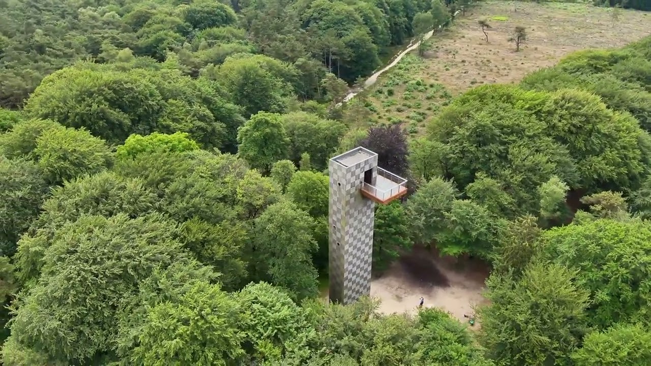 Dronevlucht Kaapse Bossen