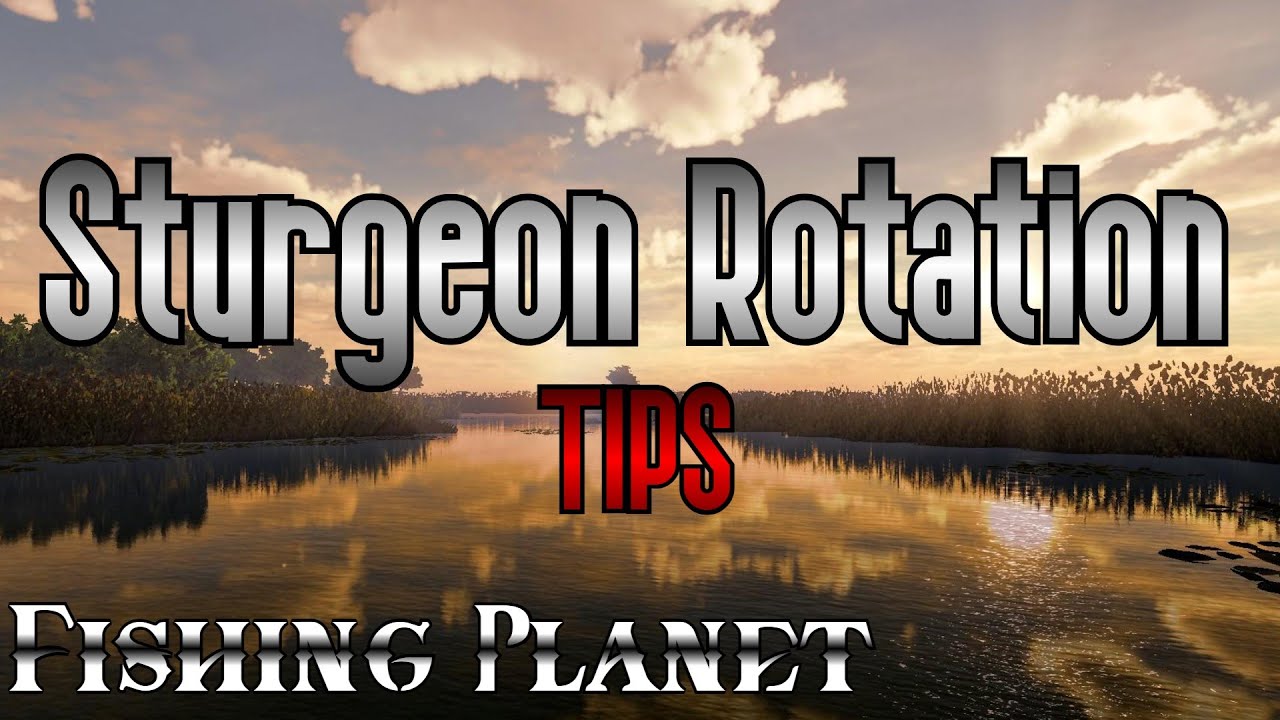 Fishing Planet - Sturgeon Rotation - With Tips