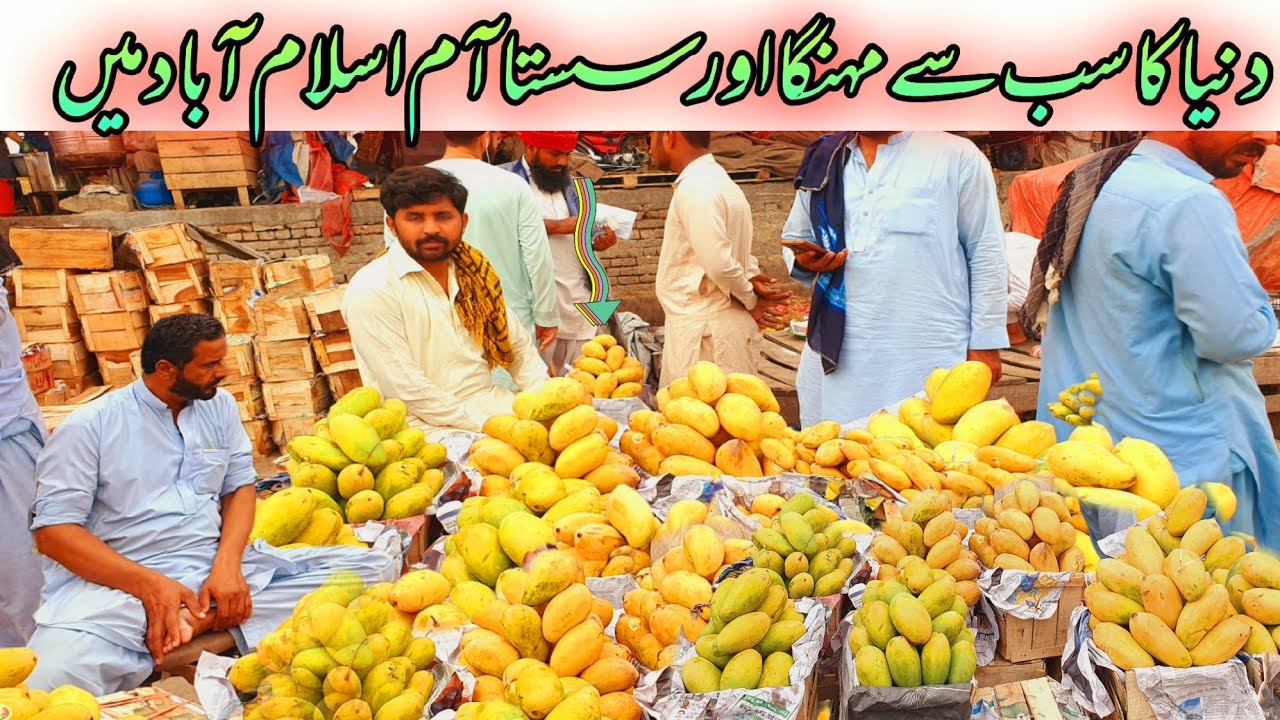 World Most Expensive Mango In Islamabad | Premium Export Quality  | Mango Street Reasonable prices |