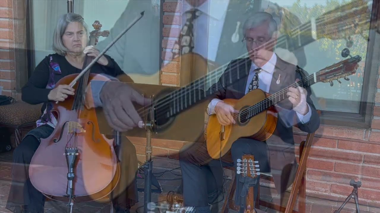 Play Me (guitar & cello cover)