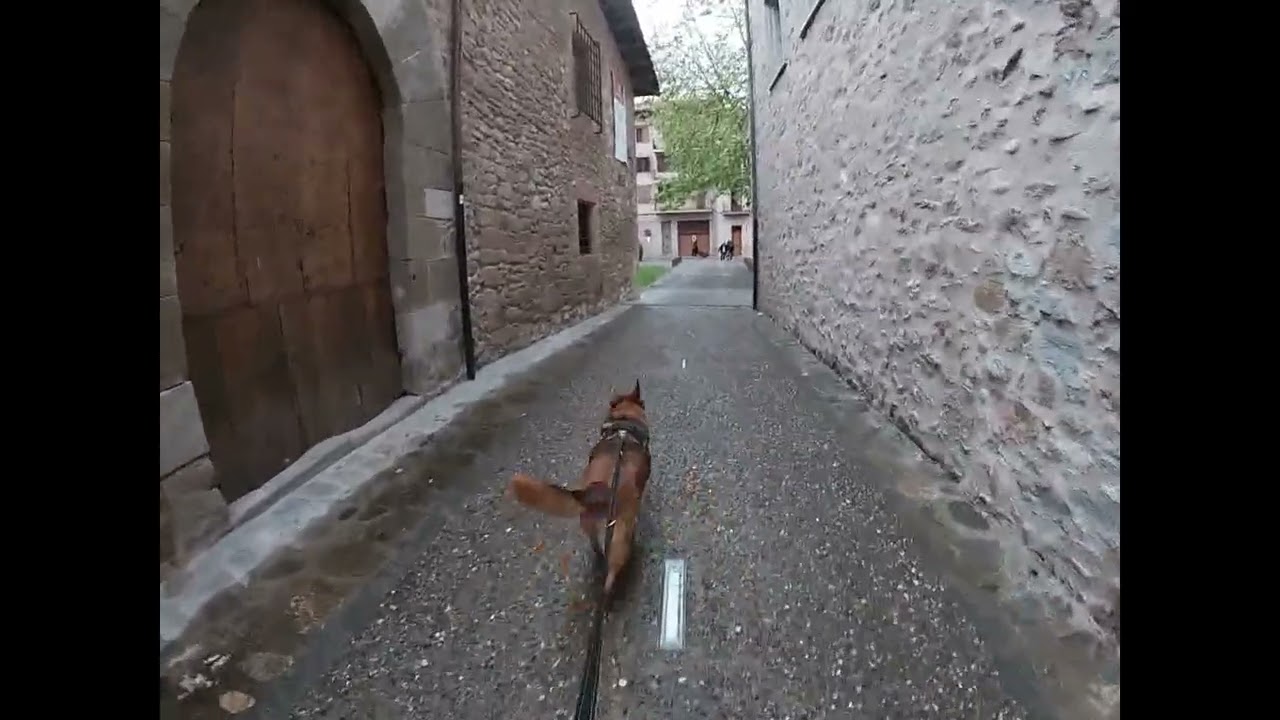 VLOG :52 . Sant joan de les Abadesses