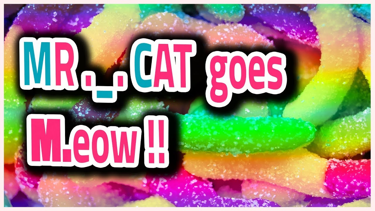 MR._.CAT goes M.eow!