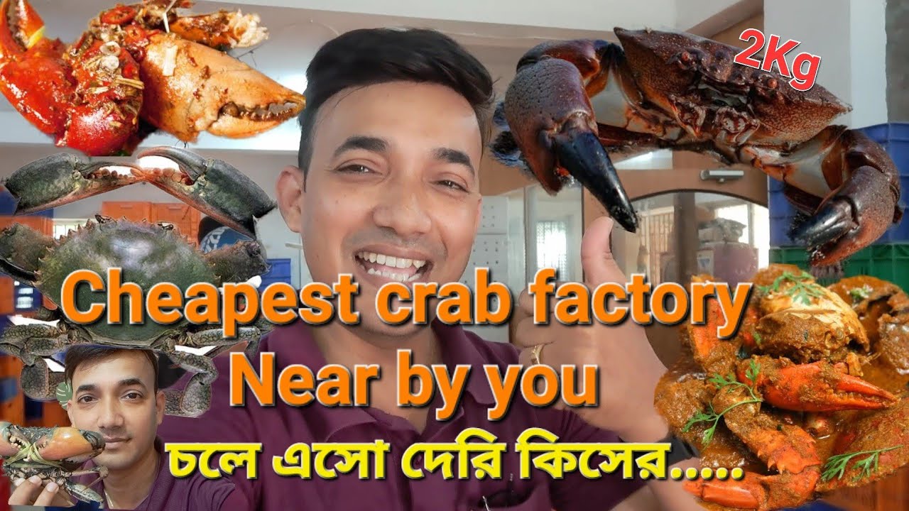 Crab farming in kolkata ||  Cheapest crab near by pass || সুন্দরবন,অন্ধ্রপ্রদেশ,Andaman crab