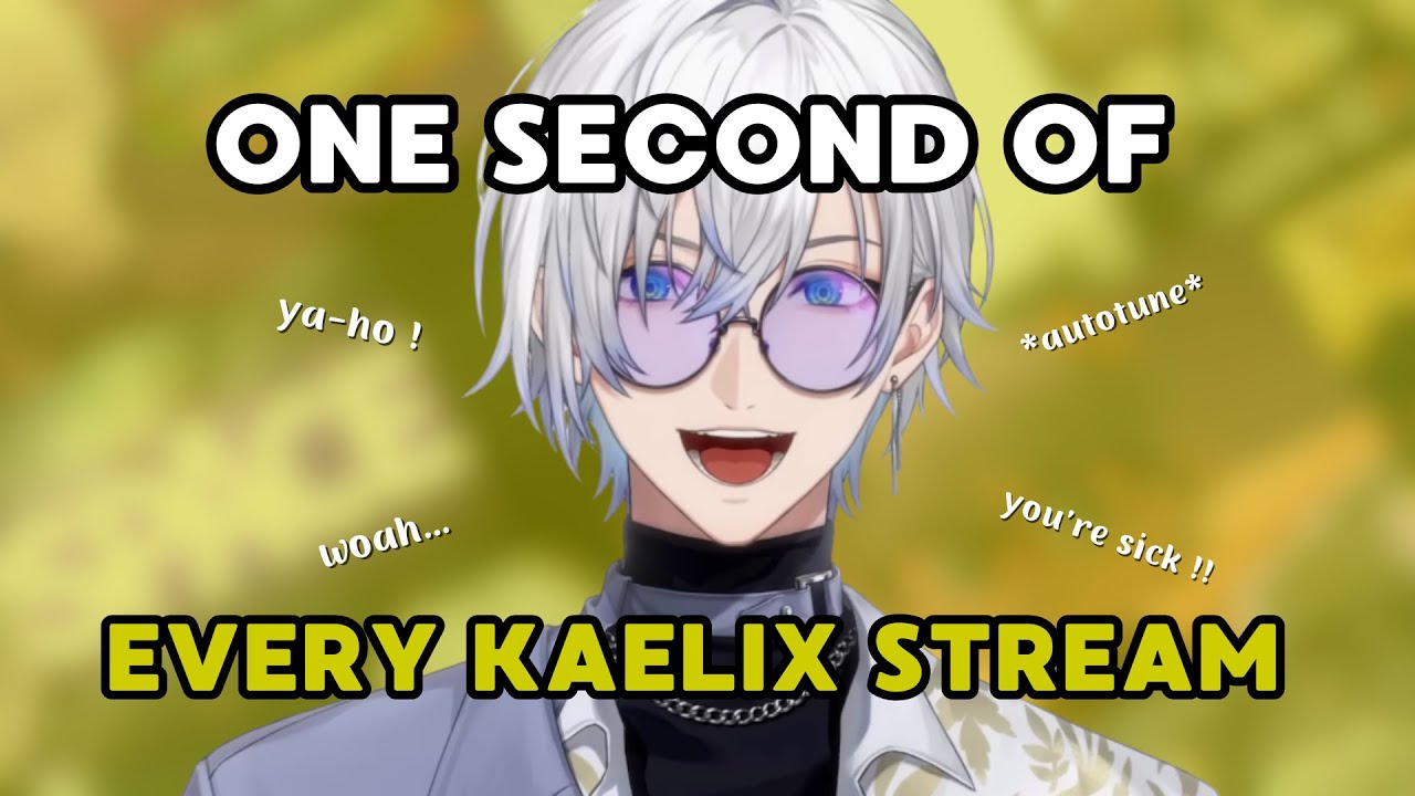 One second from every Kaelix stream 【#HBDKD25】