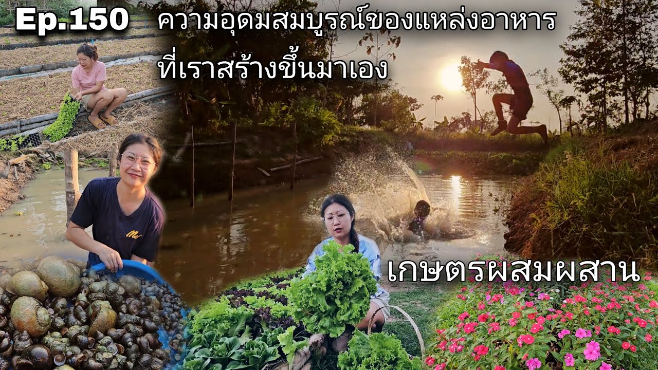 Ep.150 ความอุดมสมบูรณ์ของแหล่งอาหาร ที่เราสร้างขึ้นมาเอง