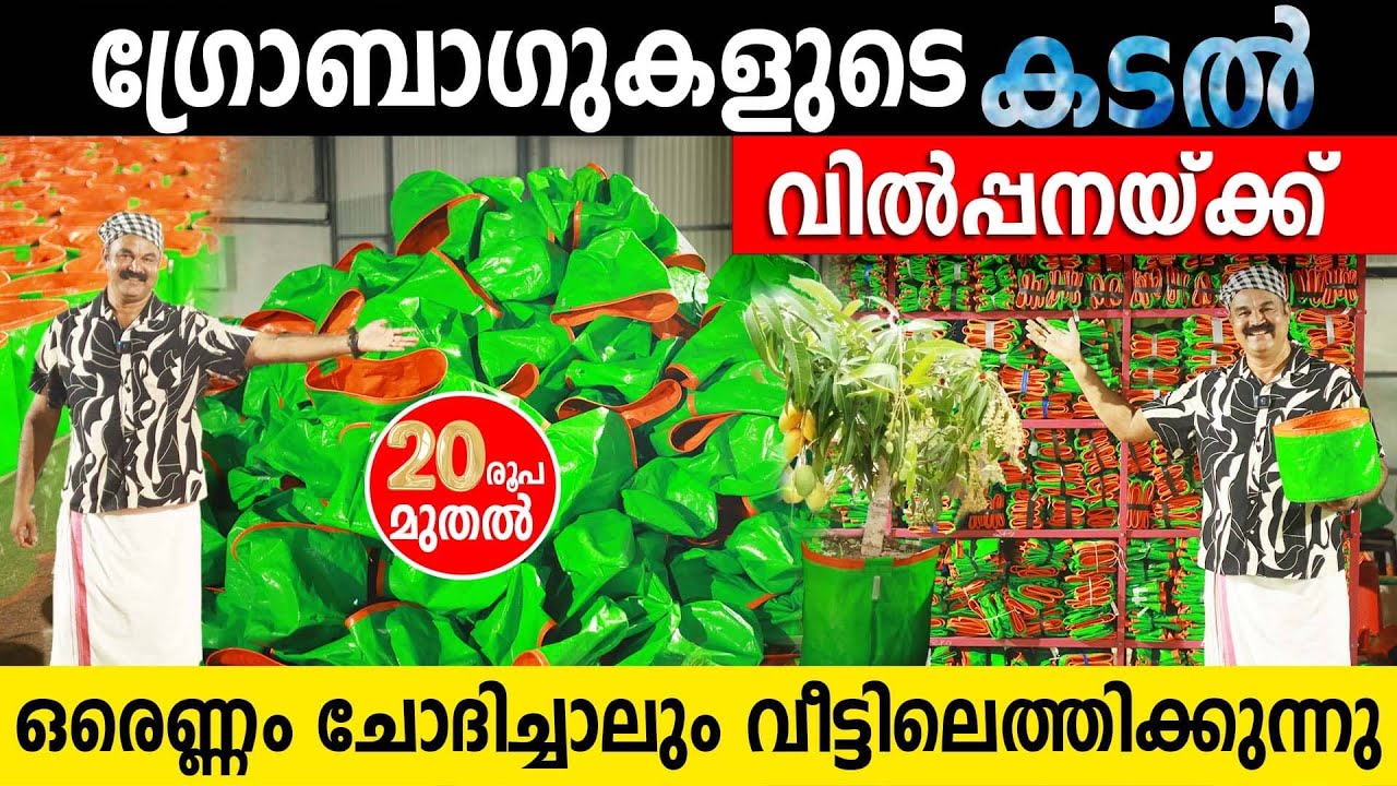 ഗ്രോബാഗുകളുടെ കടൽ വിറ്റൊഴിവാക്കുന്നു | ഒരെണ്ണം ചോദിച്ചാലും വീട്ടിലെത്തിക്കുന്നു | GROWBAG FACTORY
