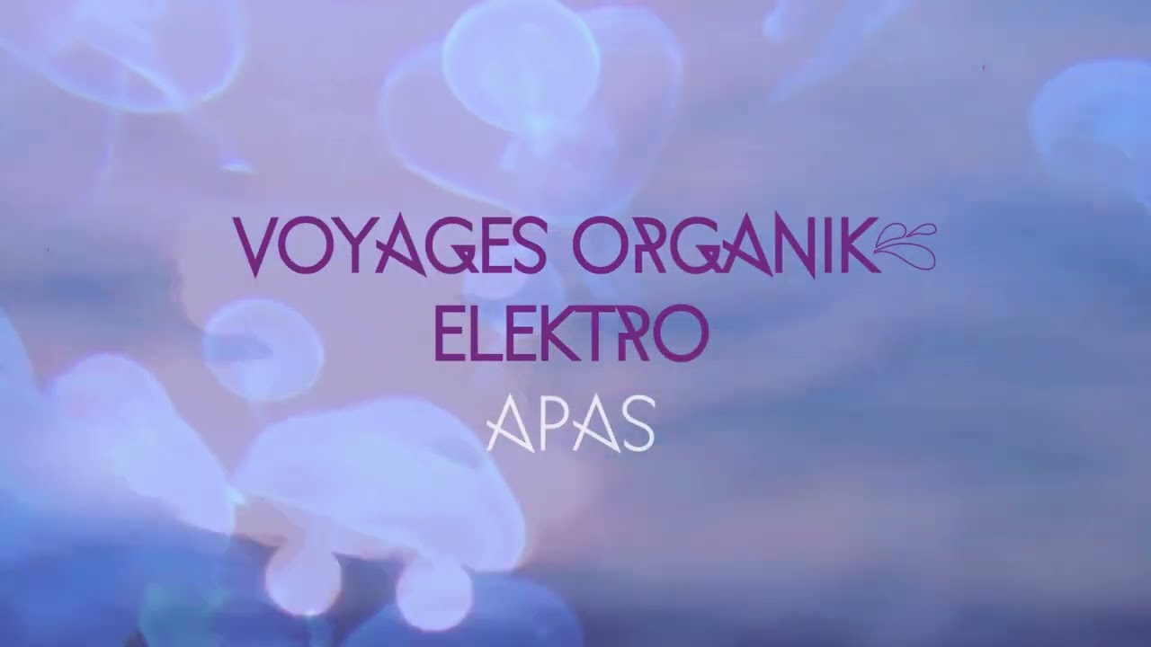 Lulla Sauvage & Dj Spok 💦 Voyages OrganiK EleKtro 💦 APAS
