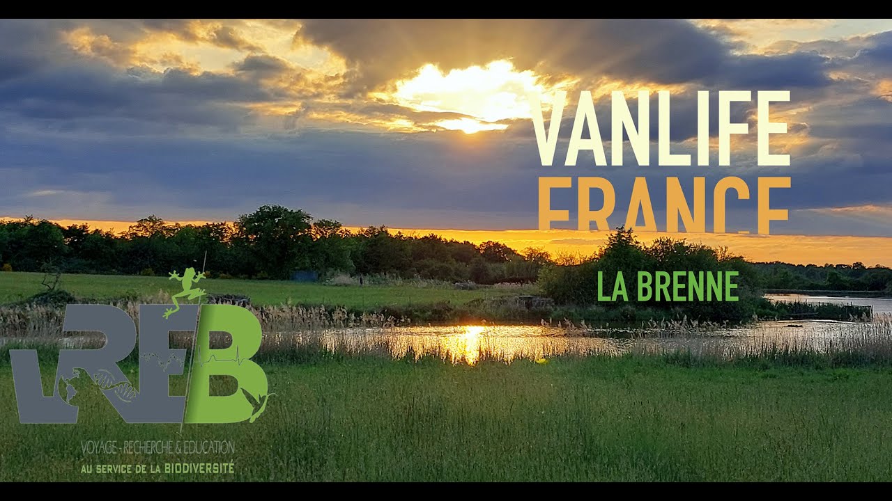 Vanlife France #1_ 2021 La Brenne