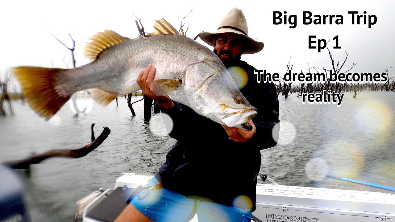 Barramundi battles- Peter Faust Dam-White knuckle barramundi fishing