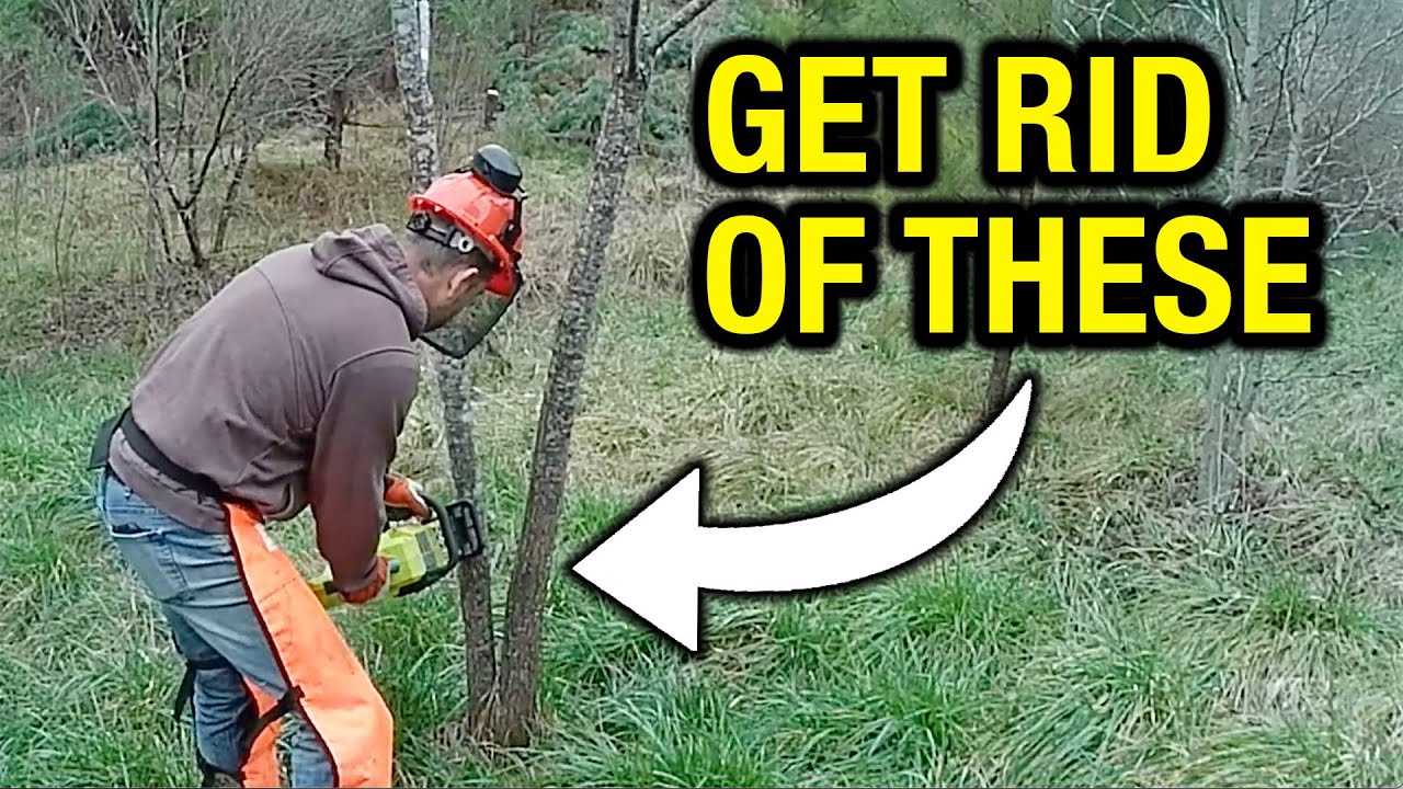 5 Winter Habitat Projects You Can Work on Now!