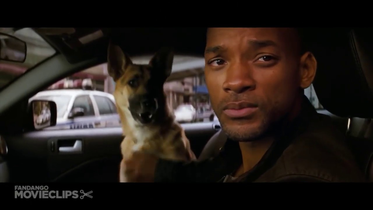 I Am Legend Official Trailer | 2007 | IMDb: 7,2/10