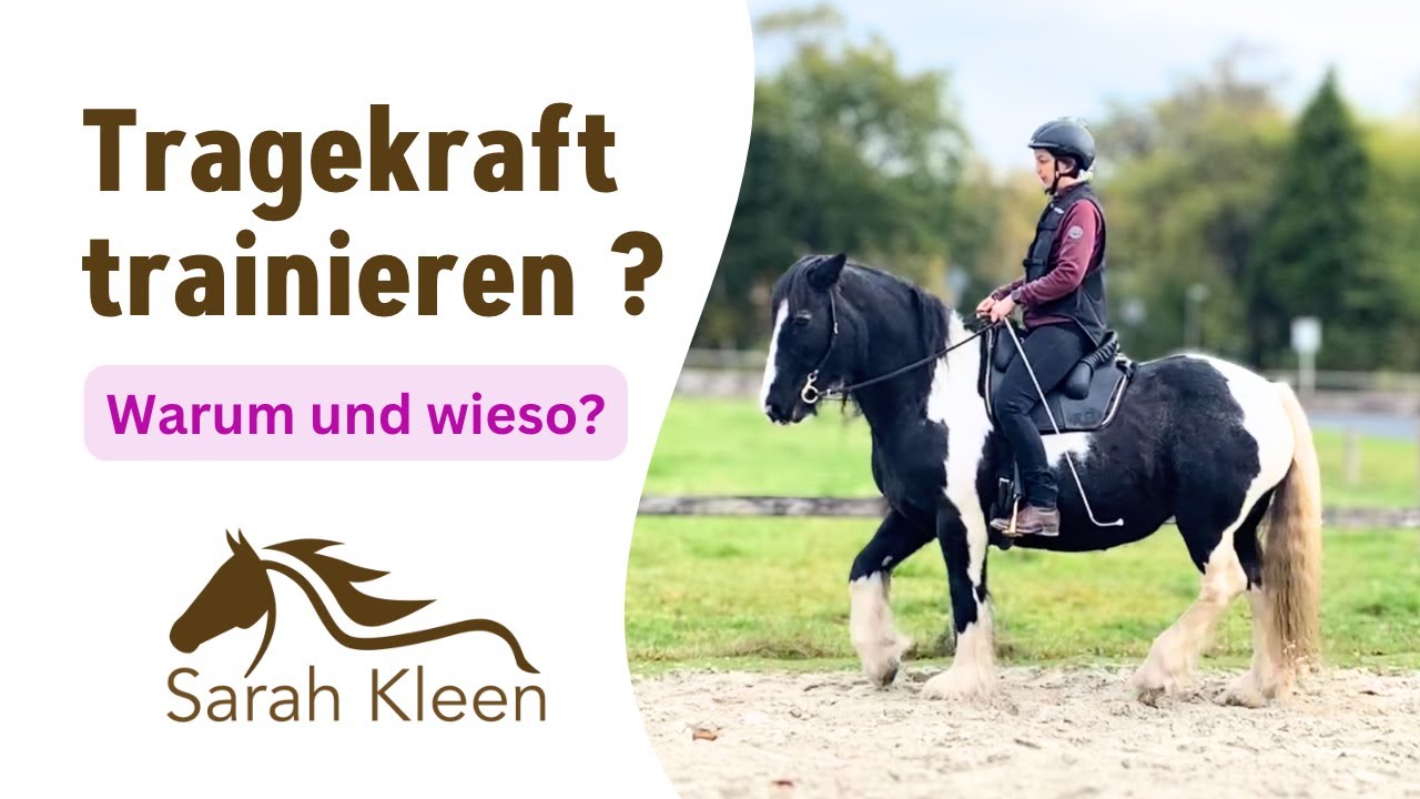 Trageerschöpfung - Was ist das? ⎮Vermeide so zu reiten! ☝️⎮#1