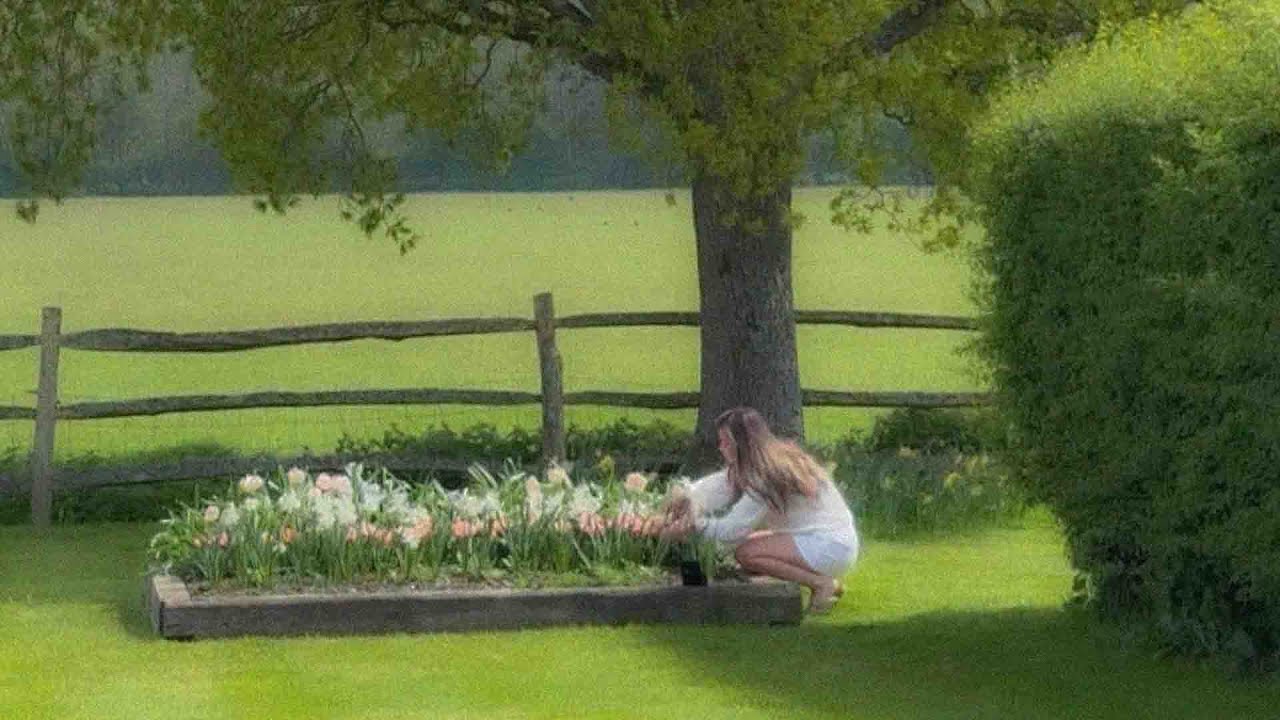 A quiet playlist for a beautiful, quiet life 🌿 February vibes