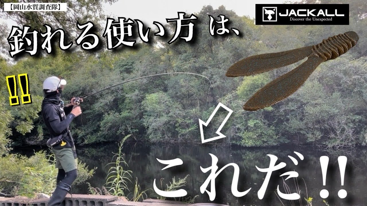 【バス釣り】リビングバニー！ジャッカルの2024年新作チャンク系ワームが釣れすぎてヤバかった！釣れる使い方はこれだ‼︎  直リグ　水中アクション　動き　使い方