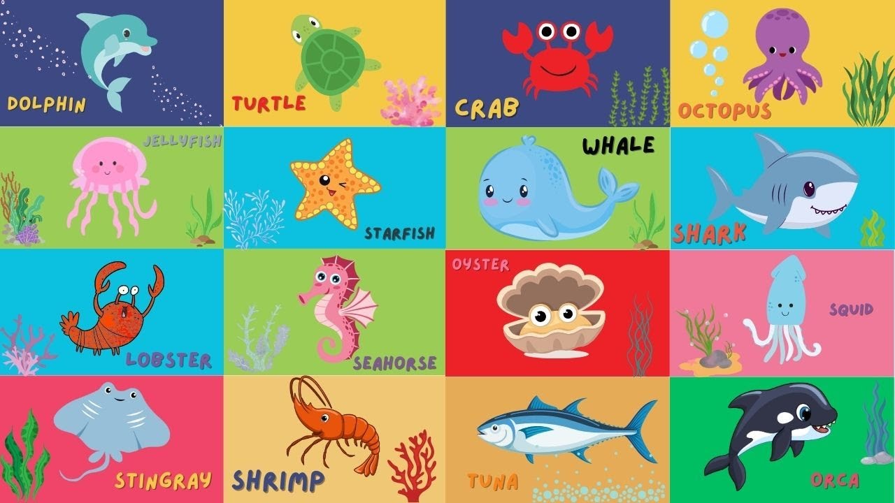Song about ocean and sea animals | Kids TV Education