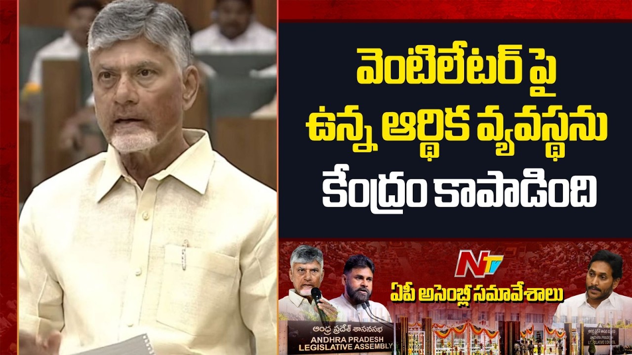 వెంటిలేటర్ పై ఉన్న ఆర్థిక వ్యవస్థను కేంద్రం కాపాడింది | CM Chandrababu | AP Assembly | NTV Telugu