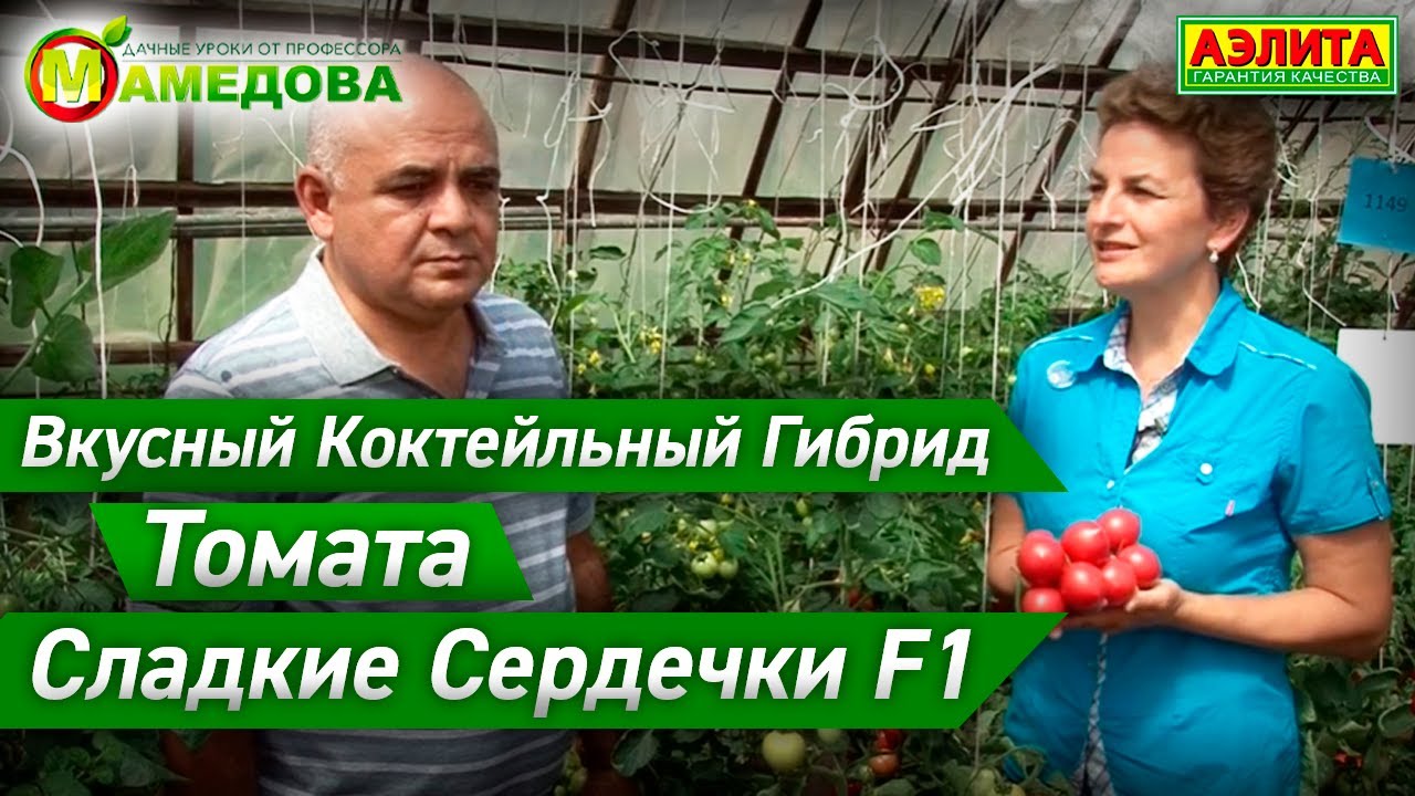 Вкусный Коктейльный Гибрид Томата. Сладкие Сердечки F1