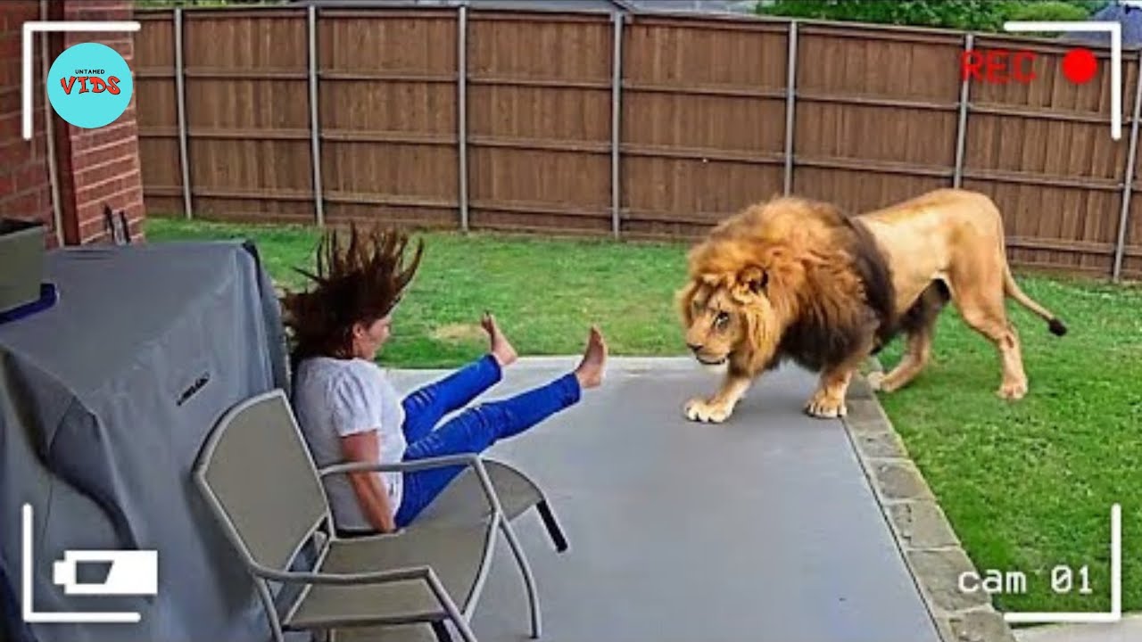 INSANE Fails & Satisfying Wins of 2025 🔥 Try Not to Laugh Or Gasp Challenge