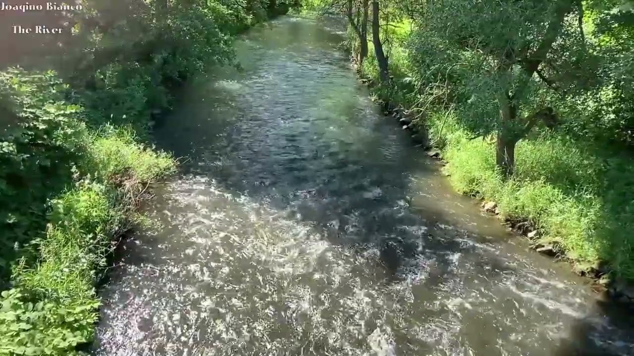 Entspannen an der Sieg