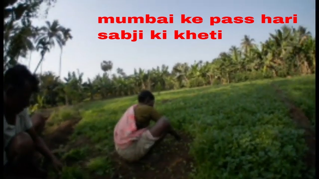 Ghumakkad | mumbai ke pass hari sabji ki kheti