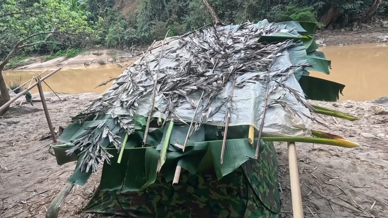 พาลูกเมียใช้ชีวิตในป่า1วัน1ขืน