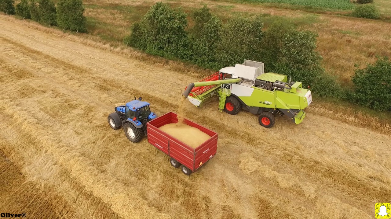 Høst 2017|Vinterbyg|Claas Lexion 650 & 25 fod
