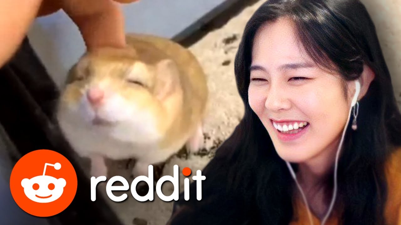 39daph Reacts to Reddit #30