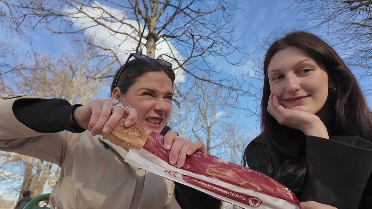  a very paris vlog
