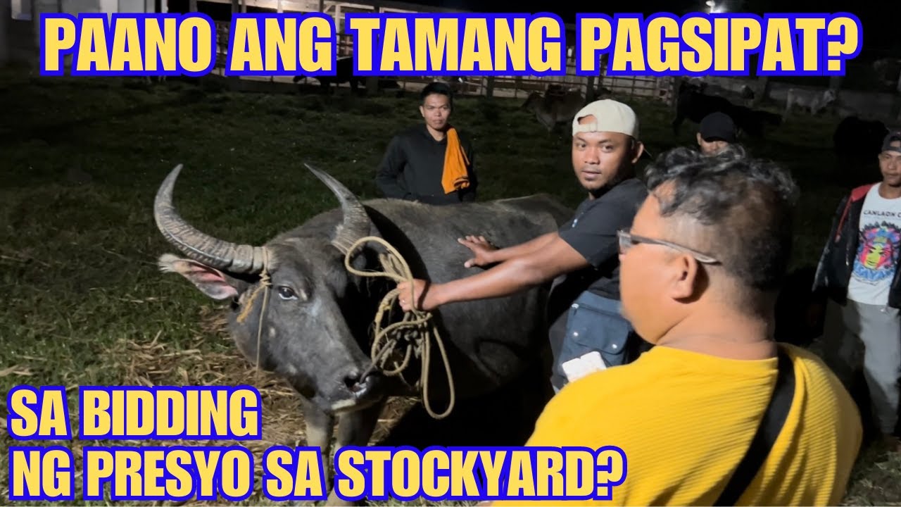 PAANO ANG TAMANG PAGSIPAT SA BIDDING NG PRESYO SA STOCKYARD | BYAHE NI ROGER |