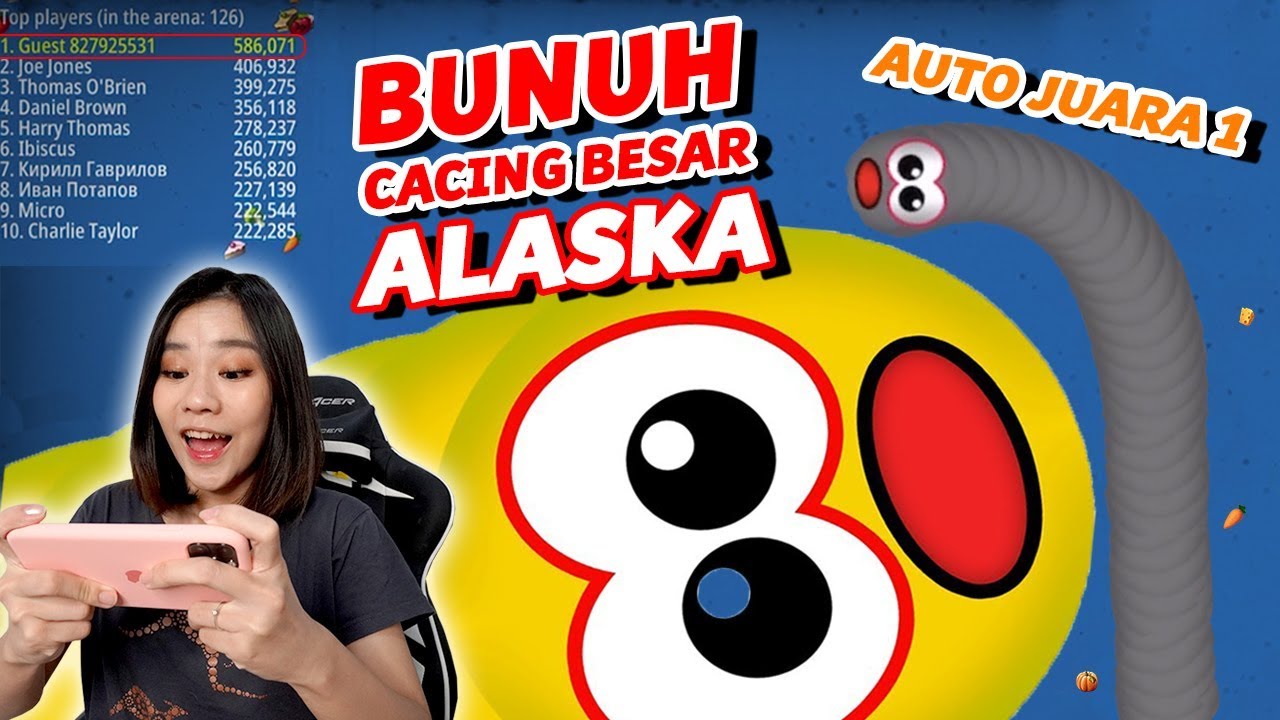 Jebak Cacing Besar Alaska!!! Auto Juara 1!!!