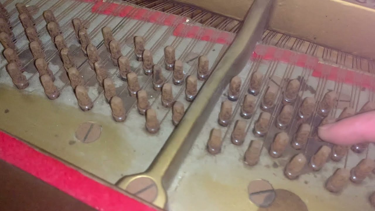 Assessment of a New York Steinway grand c1925: