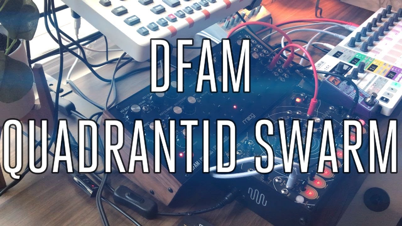 Der Schlag |||| DFAM and Quadrantid Swarm