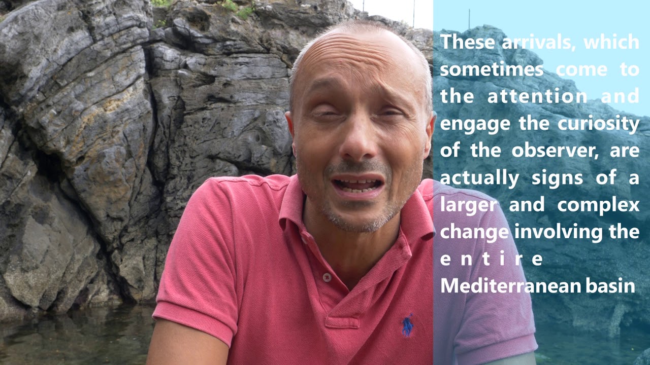 Isole Pelagie Marine Protected Area and climate change